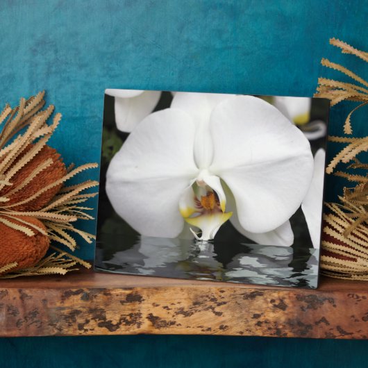 White Orchids Emerging Tabletop Plaque and Easel Fotoplaat (Zijkant)