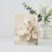 White Orchids Flower  Old Illustration Briefkaart (Staand voorkant)
