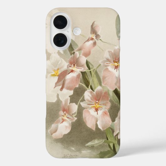 White Orchids Flower  Old Illustration Case-Mate iPhone Case (Achterkant)