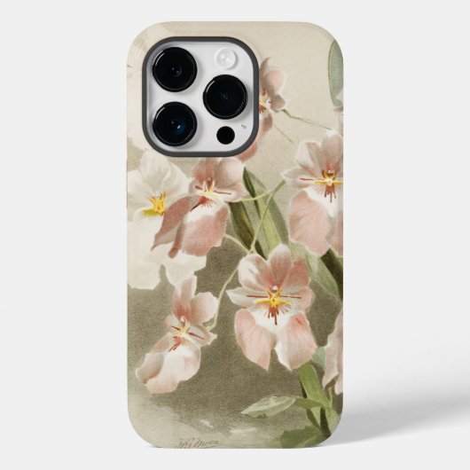 White Orchids Flower  Old Illustration Case-Mate iPhone Case (Achterkant)