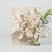 White Orchids Flower Old Illustration Kaart (Staand voorkant)