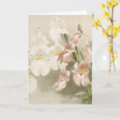 White Orchids Flower  Old Illustration Kaart (Gele Bloem)