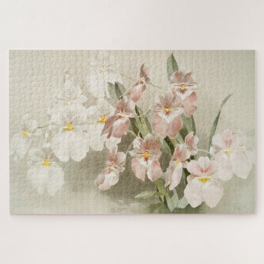 White Orchids Flower  Old Illustration Legpuzzel (Horizontaal)