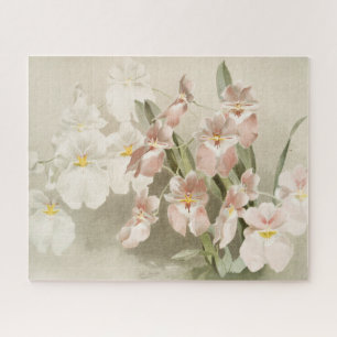 White Orchids Flower  Old Illustration Legpuzzel