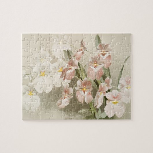 White Orchids Flower Old Illustration Legpuzzel (Horizontaal)