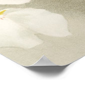 White Orchids Flower Old Illustration Poster (Hoek)