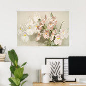 White Orchids Flower  Old Illustration Poster (Thuiskantoor)