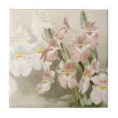 White Orchids Flower  Old Illustration Tegeltje (Voorkant)