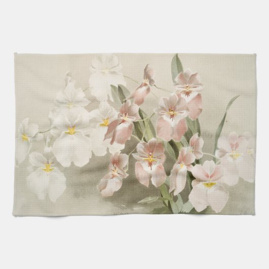 White Orchids Flower  Old Illustration Theedoek (Horizontaal)