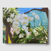 White Orchids Gastenboek (Achterkant)