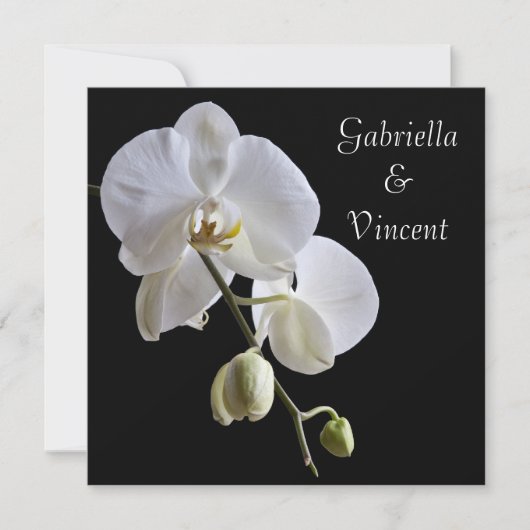 White Orchids on Black Wedding Kaart (Voorkant)