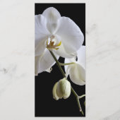White Orchids on Black Wedding Programs Programmakaart (Voorkant)