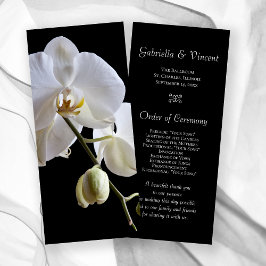 White Orchids on Black Wedding Programs Programmakaart