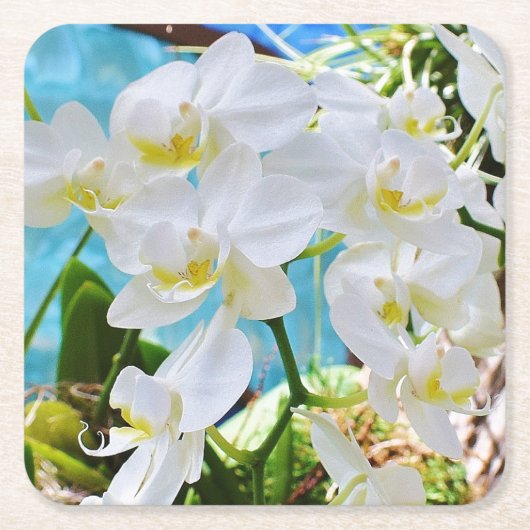 White Orchids Paper Onderzetter (Voorkant)