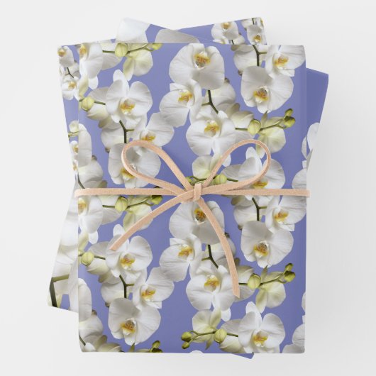 White Orchids Periwinkle Blue Lavender Inpakpapier Vel (In situ)