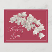 White Orchids Pink Background Denking of You Briefkaart (Voorkant)