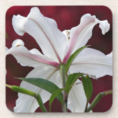 White Oriental Lily Bloom Floral Bier Onderzetter (Voorkant)