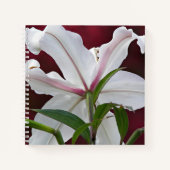 White Oriental Lily Bloom Floral Notitieboek (Voorkant)