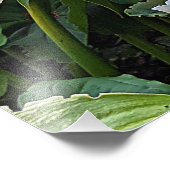 White Oriental Lily Blooms Floral Foto Afdruk (Hoek)