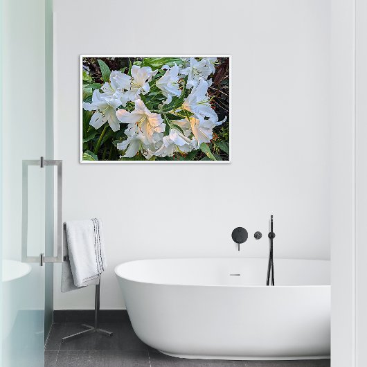 White Oriental Lily Blooms Floral Foto Afdruk