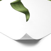 White Oriental Lily Original Art Print (Hoek)