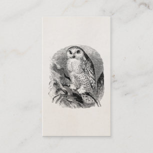 White Owl Bird Personalized Ownership Birds Birds Visitekaartje