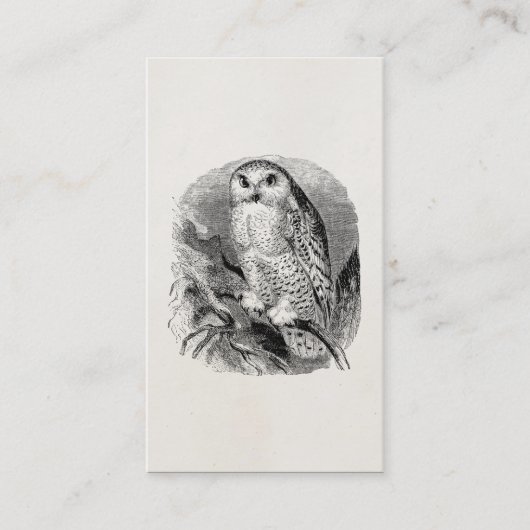  White Owl Bird Personalized Ownership Birds Birds Visitekaartje (Voorkant)