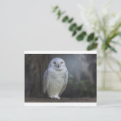 White Owl in de nacht Briefkaart (Staand voorkant)