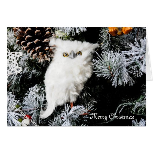 White Owl lege kaart binnenkant (Voorkant Horizontaal)