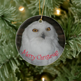 White Owl Photo Kerstmis Keramisch Ornament