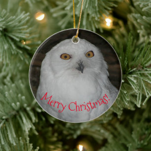 White Owl Photo Kerstmis Keramisch Ornament