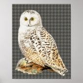 White Owl  stijl Art Poster (Voorkant)