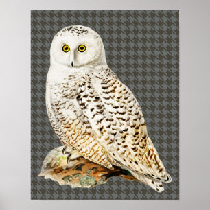 White Owl  stijl Art Poster