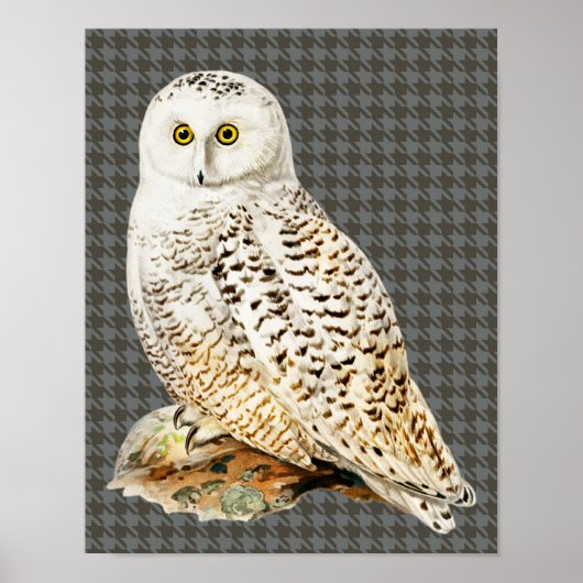 White Owl stijl Art Poster (Voorkant)