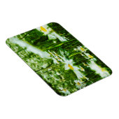 White Oxeye Daisy Abstract Floral Magneet (Rechterzijde)