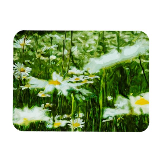 White Oxeye Daisy Abstract Floral Magneet (Horizontaal)