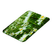 White Oxeye Daisy Abstract Floral Magneet (Linkerzijde)