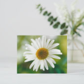 White Oxeye Daisy - Leucanthemum vulgare Briefkaart (Staand voorkant)