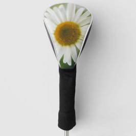 White Oxeye Daisy - Leucanthemum vulgare Golfheadcover