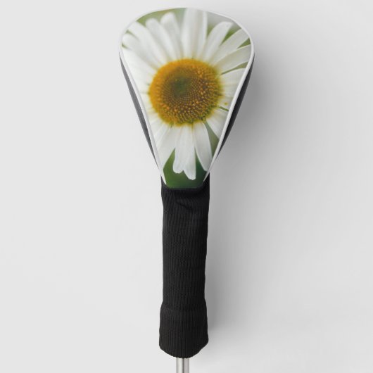 White Oxeye Daisy - Leucanthemum vulgare Golfheadcover (Voorkant)