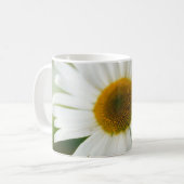 White Oxeye Daisy - Leucanthemum vulgare Koffiemok (Voorkant links)