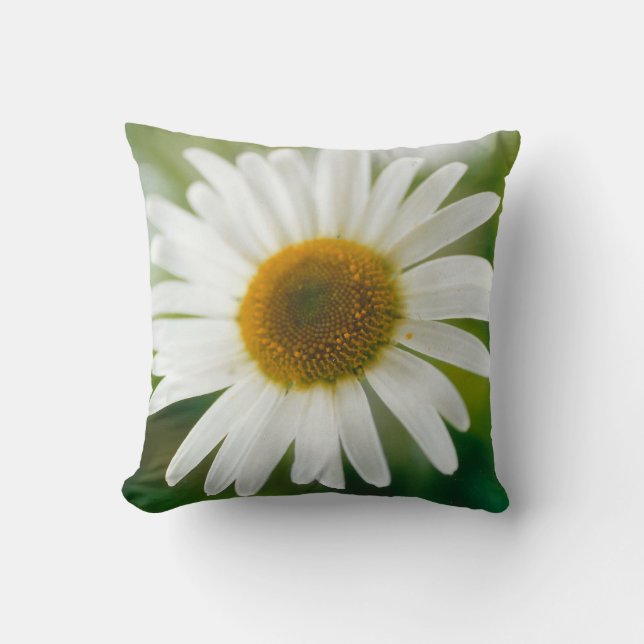 White Oxeye Daisy - Leucanthemum vulgare Kussen (Voorkant)