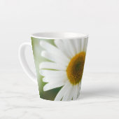 White Oxeye Daisy - Leucanthemum vulgare Latte Mok (Linkerhoek)