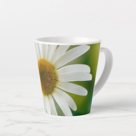 White Oxeye Daisy - Leucanthemum vulgare Latte Mok (Rechterhoek)