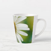 White Oxeye Daisy - Leucanthemum vulgare Latte Mok (Rechts)