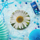 White Oxeye Daisy - Leucanthemum vulgare Papieren Bordje (Feest)