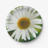 White Oxeye Daisy - Leucanthemum vulgare Papieren Bordje (Voorkant)