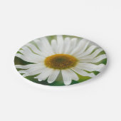 White Oxeye Daisy - Leucanthemum vulgare Papieren Bordje (Gekanteld)