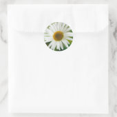 White Oxeye Daisy - Leucanthemum vulgare Ronde Sticker (Tas)