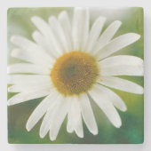 White Oxeye Daisy - Leucanthemum vulgare Stenen Onderzetter (Voorkant)